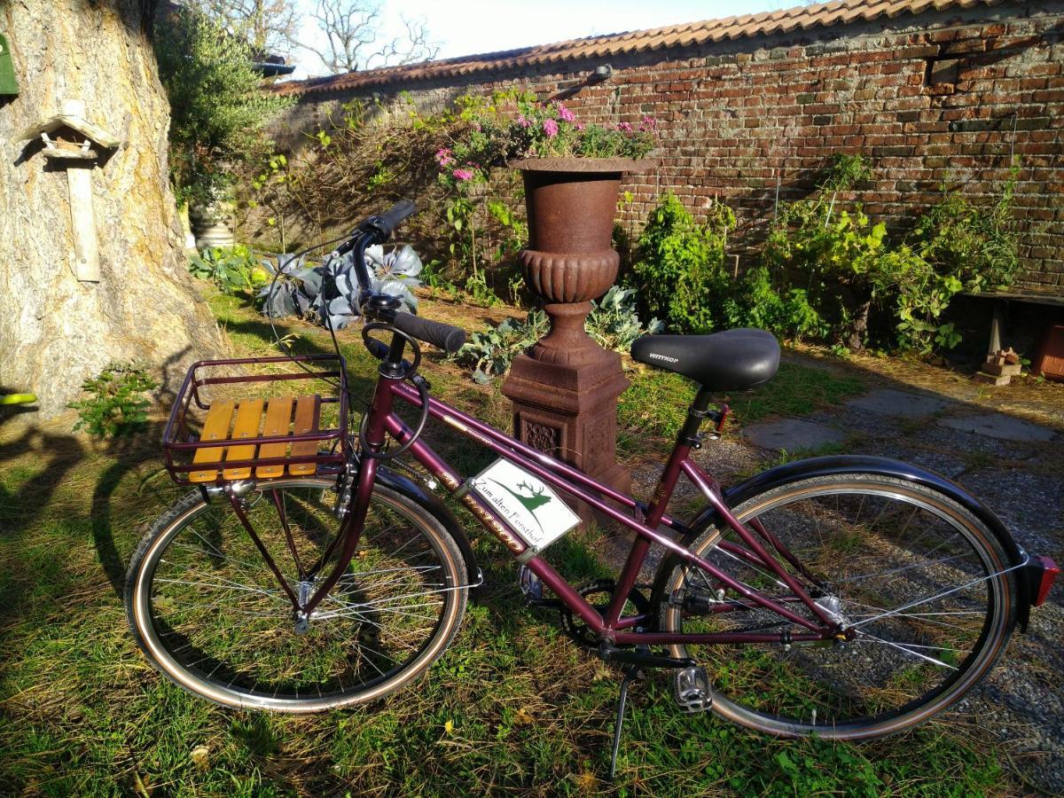 4 Sterne Wohnen "Zum Alten Forsthof" Am Schlosspark, App 1 "Smuck Und Groot" Eutin Extérieur photo